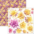 Ciao Bella Ethereal - 6x6 Fussy Cut Pad 24pk