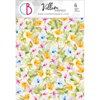 Ciao Bella Summer Breeze - A4 Vellum Paper Patterns 6pk