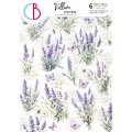 Ciao Bella Morning in Provence - A4 Vellum Paper Patterns 6pk