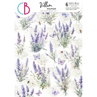 Ciao Bella Morning in Provence - A4 Vellum Paper Patterns 6pk