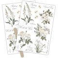 Craft Consortium Belle Fleur - Rub-on Transfers