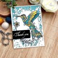 Designer Boutique 6x4 Clear Stamp Set - Doodle Hummingbird