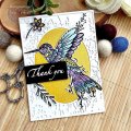 Designer Boutique 6x4 Clear Stamp Set - Doodle Hummingbird