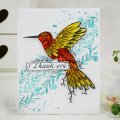 Designer Boutique 6x4 Clear Stamp Set - Doodle Hummingbird