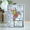 Designer Boutique A6 Clear Stamp Set - Follow Your Dreams