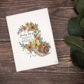 Designer Boutique 6x4 Clear Stamp Set - Floral Delivery