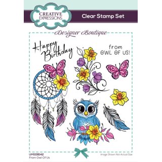 Designer Boutique 6x4 Clear Stamp Set - From Owl Of Us