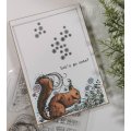 Designer Boutique A6 Clear Stamp Set - Sammy Squirrel