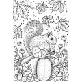 Designer Boutique A6 Clear Stamp - Hibernation Preparation