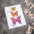 Wings of Wonder Craft Die - Butterflies