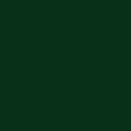 DecoArt Impasto Acrylic Paint - Deep Green