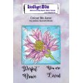 IndigoBlu A6 Red Rubber Stamp - Colour Me - Aster