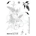 Pink Ink Designs A5 Clear Stamp Set - Luscious Lilac