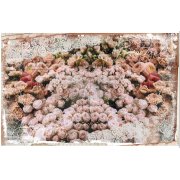 Prima Re-design Decoupage Decor Tissue Paper 19x30 Inches - Beautiful Dream