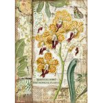 Stamperia Rice Paper A4 - Amazonia Orchid