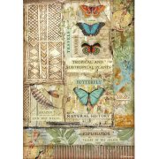 Stamperia Rice Paper A4 - Amazonia Butterfly