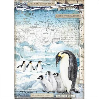 Stamperia Rice Paper A4 - Penguins