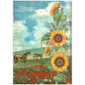 Stamperia A4 Rice Paper Selection of 6 - Sunflower Art