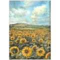 Stamperia A4 Rice Paper Selection of 6 - Sunflower Art