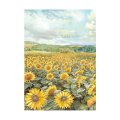 Stamperia A6 Rice Paper Selection of 8 - Backgrounds Sunflower Art