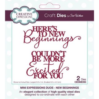 Sue Wilson Craft Die - Mini Expressions Duos - New Beginnings