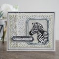 Sue Wilson Craft Die - Safari Collection - Zebra