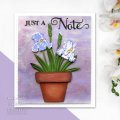 Sue Wilson Craft Die - Layered Flowers Collection - Iris