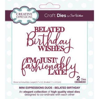 Sue Wilson Craft Die - Mini Expressions Duos - Belated Birthday